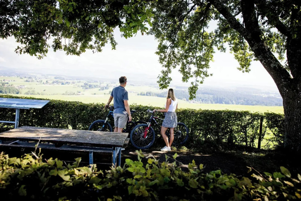 Hotel zur Rose