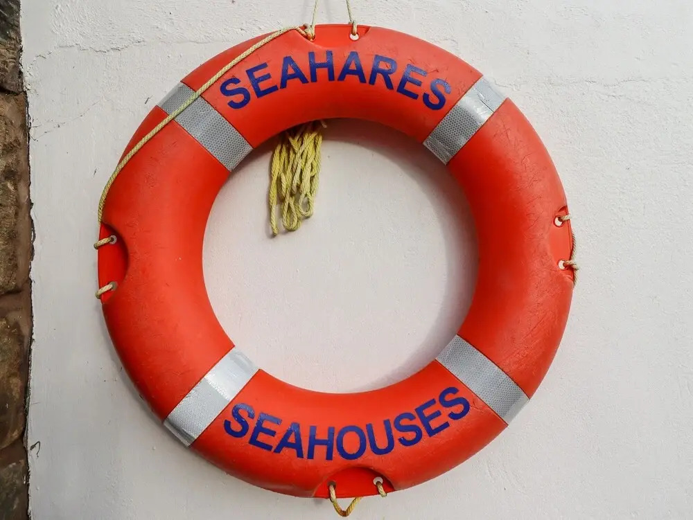 Seahares