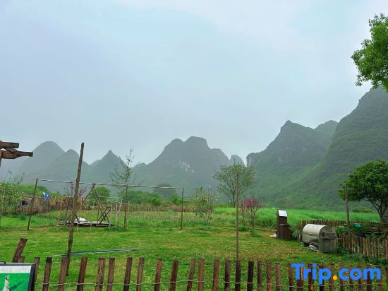 Hexing Preferred Hotel (Shenzhen Nanlian Subway Station)