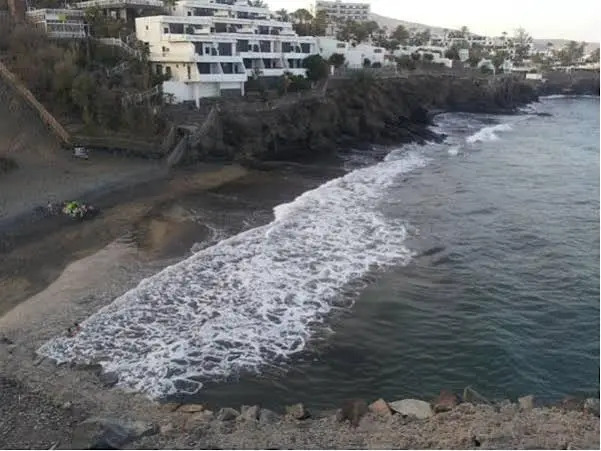 Flipper Top Suites