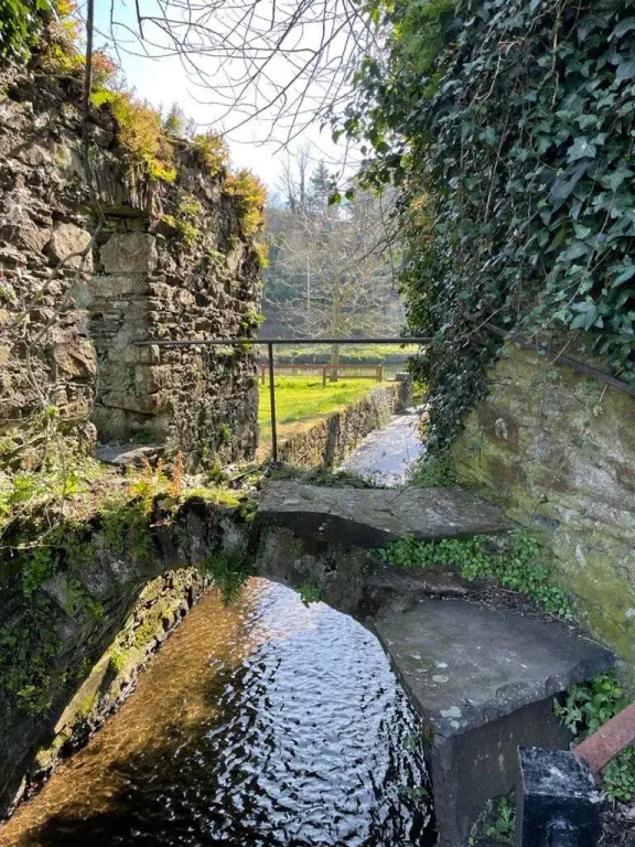 Woodstock Courtyard
