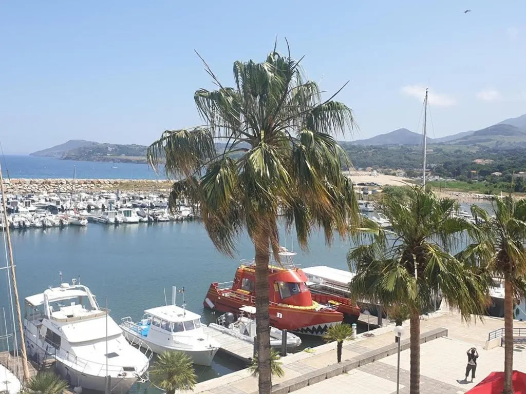 Appartement Argelès-sur-Mer, 2 pièces, 6 personnes - FR-1-388-51