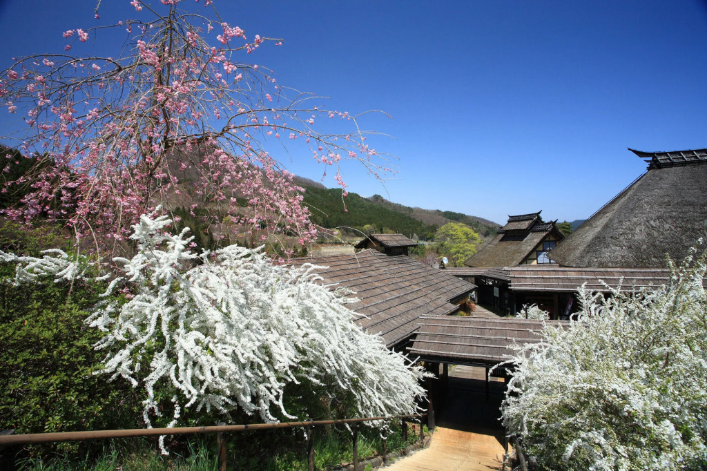 Kayabukinosato Yakushionsen Hatago