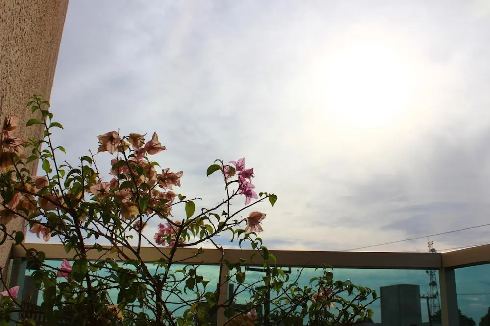 Hotel Villa Quati