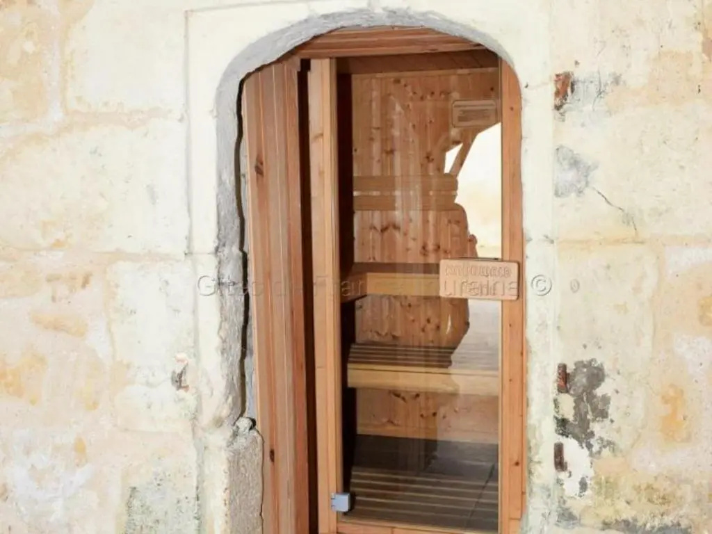Élégante Demeure 17e avec Spa, Sauna et Authentique Cheminée, proche Châteaux de la Loire - FR-1-381-348