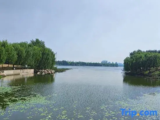 Homeinn Plus Hotel (Tai'an Taishan Street Xuri Building Guangcai)