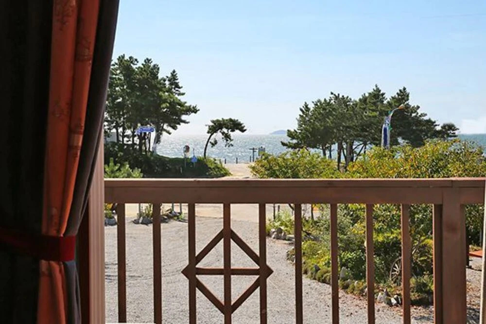 Silver Glowing Sea Pension
