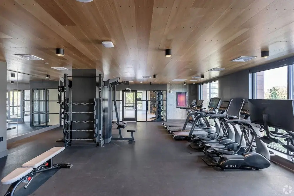 Luxury Apartments by Hyatus Boston Somerville