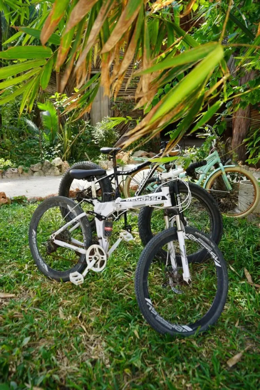 The Nest Boutique Resort