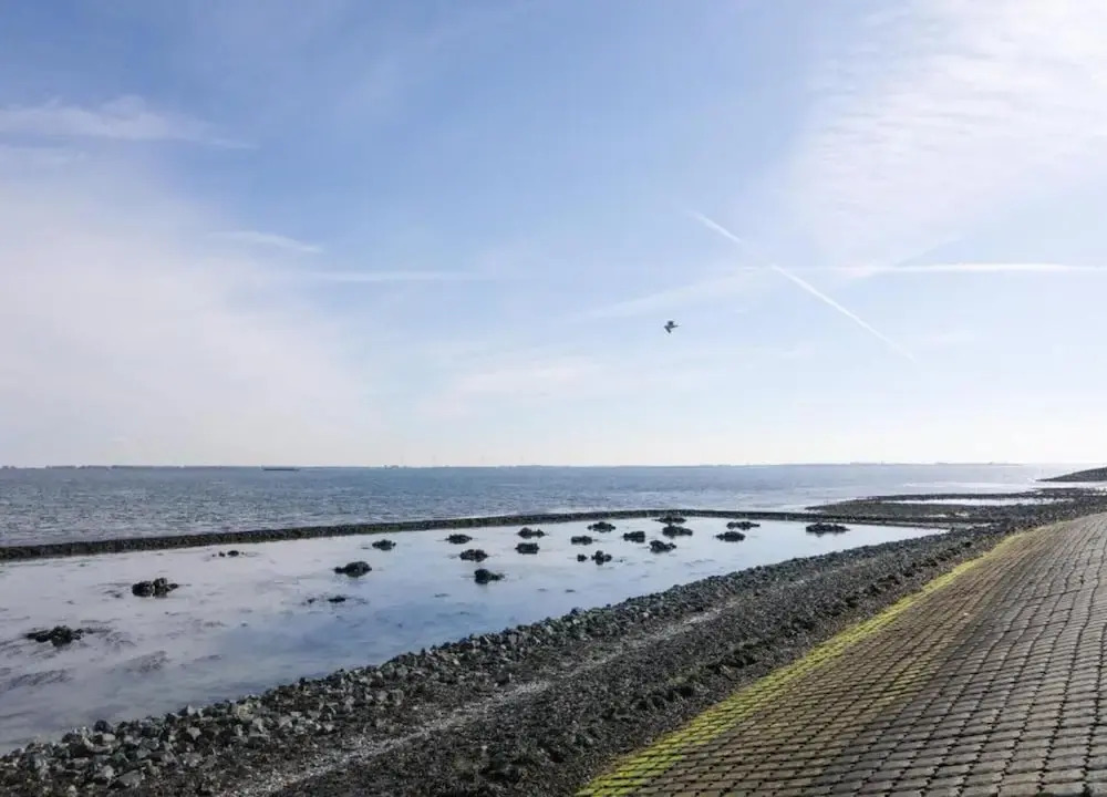 leisure retrete with costal nature