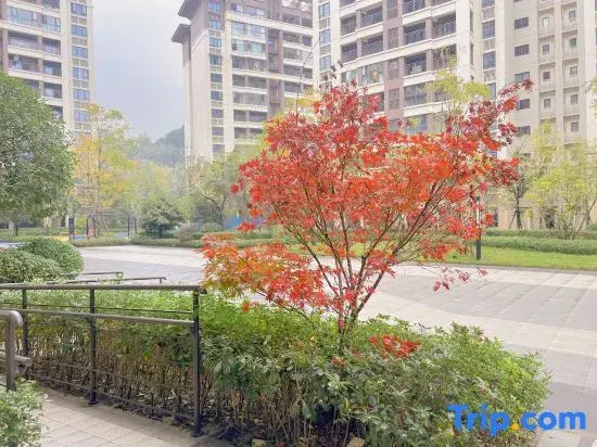 YUIRUI YUNRUI Family Suite Projection Homestay