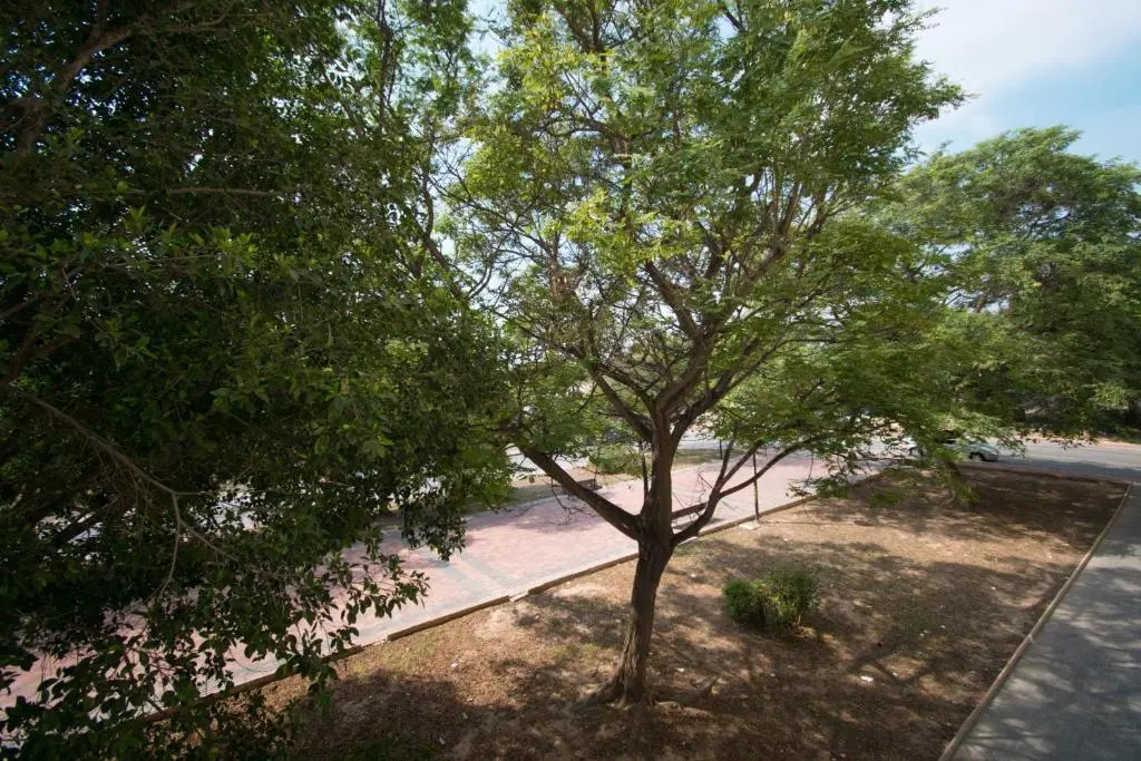 113 Beach and Trees - Alicante Holiday