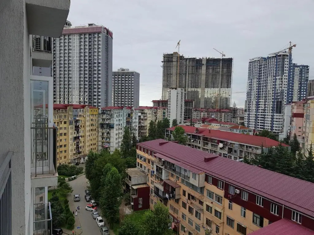 Apartment Inasaridze 18