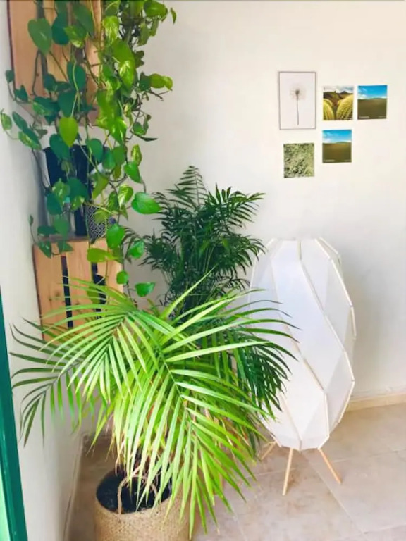 LSJade Apartment