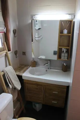 Nouveau !LE CHOUCAS appartements au centre de Chatel avec parking couvert