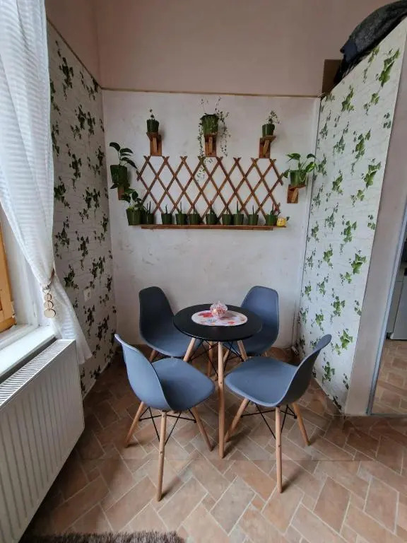 Apartament Ultracentral 2 Piata Muzeului Cluj-Napoca