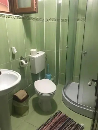 Vila Ammos Apartments Busteni