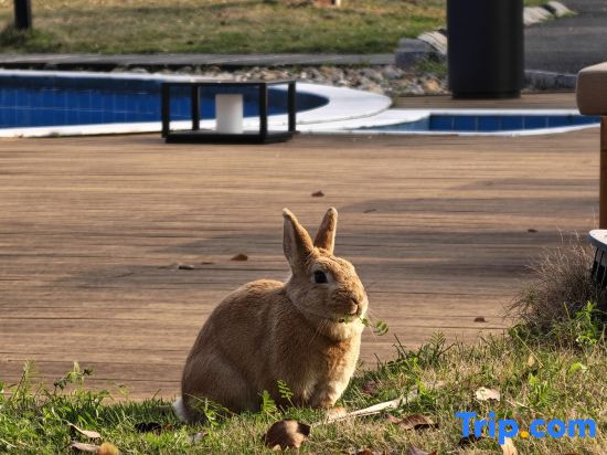 Trip.com Group Country Retreats(Anji Junde Yuxiu Joint Resort)