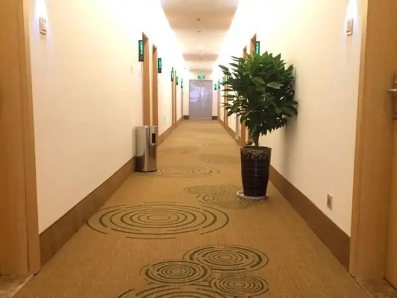 GreenTree Inn YingTan Xinjiang New District Municipal Government Yizhong Hotel