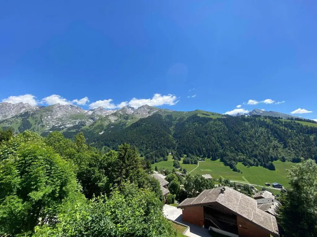 Appartement La Clusaz, 3 pièces, 6 personnes - FR-1-437-94