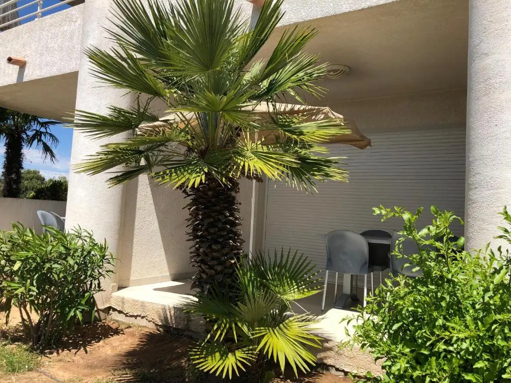 Porticcio centre plage à pieds, studio-cabine 4 Pers max, promo 7 nuits