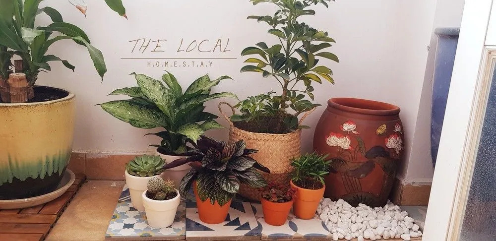 The Local Homestay
