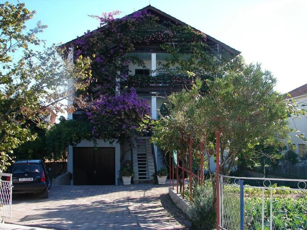 Ruza - 300 m from sea - A1(7)