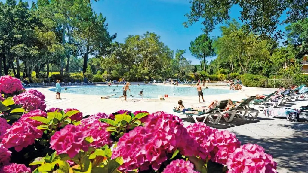 LE HAMEAU DES VAGUES 4-5 PERS Piscines et Nature à MOLIETS