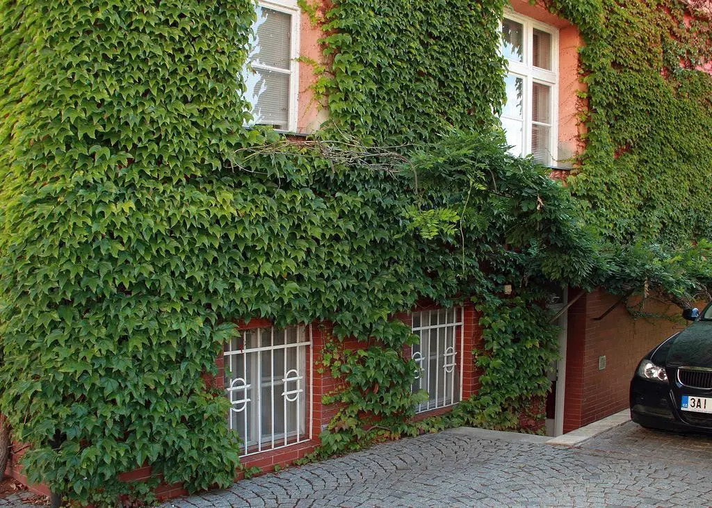 Apartment Hradešínská