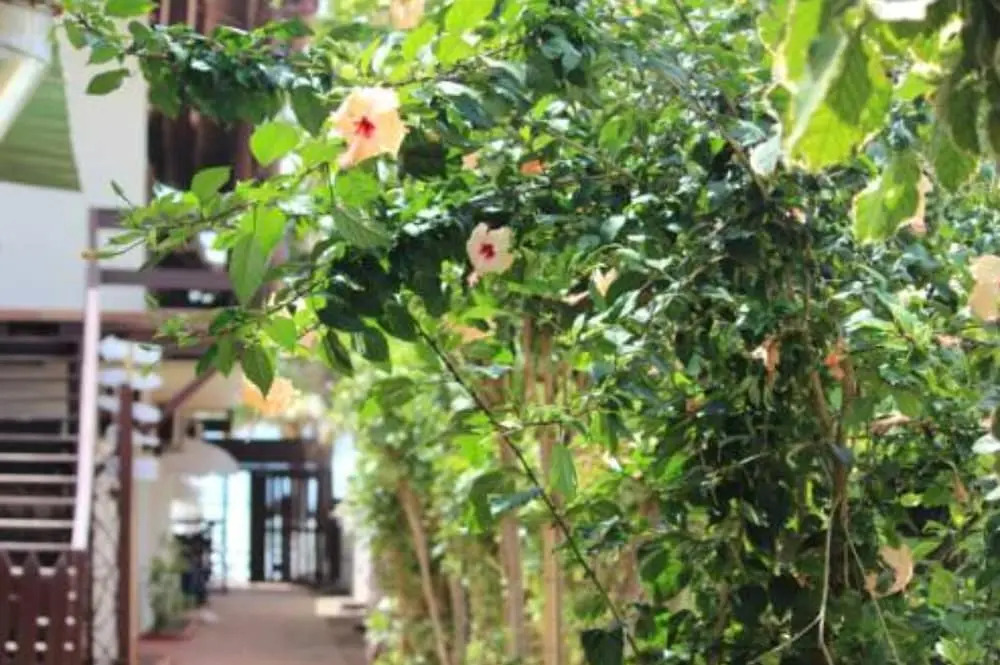 Pousada Parador 081