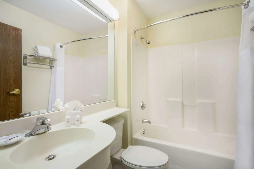 Microtel Inn & Suites Leesburg