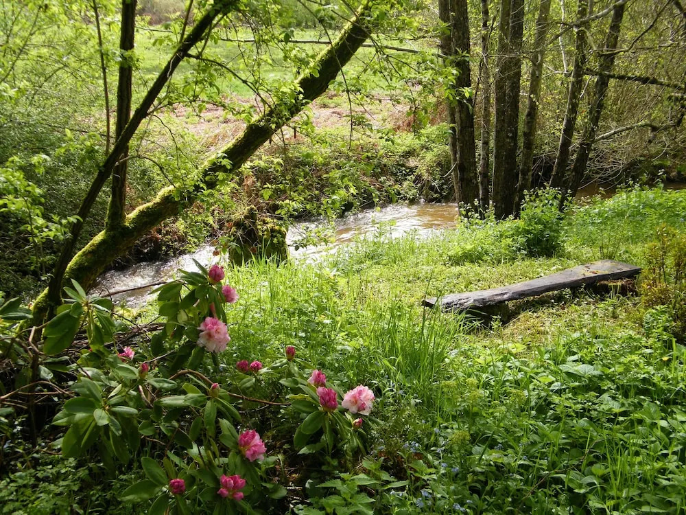 Le Moulin du Chet