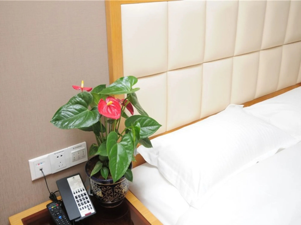 GreenTree Inn Shandong Taian Feicheng Xincheng Road Business Hotel