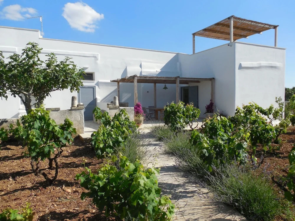 Casale alle Vigne