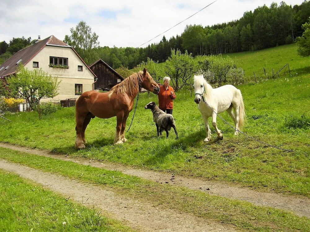 Ranch Eden, Jeseník