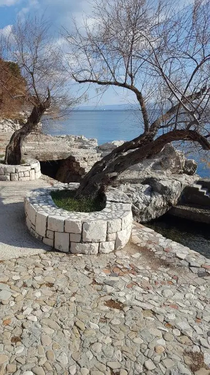 Animari Apartments