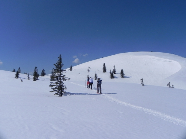 Wander-Vitalhotel Steirerhof