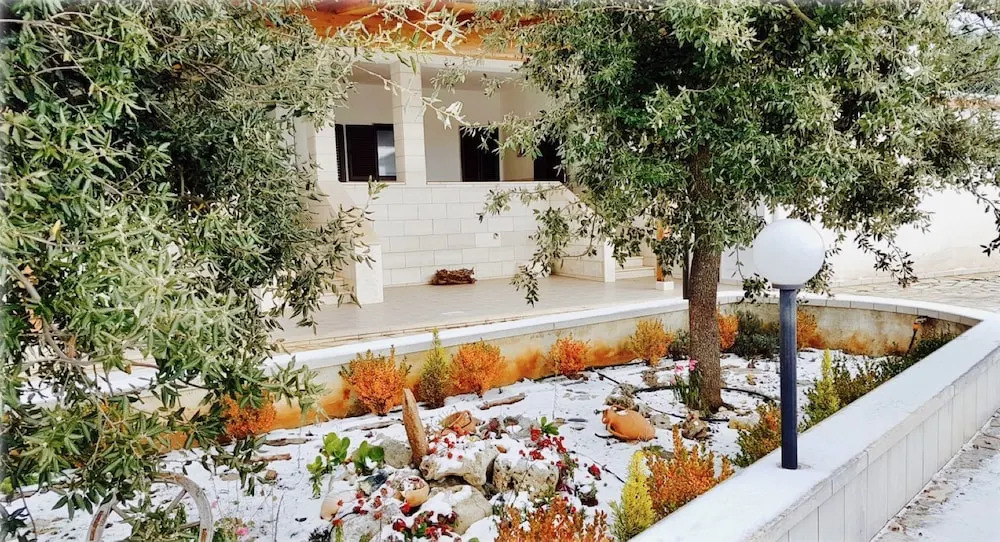 Villa Wonder
