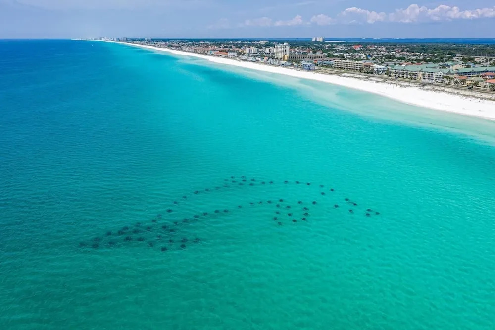 Sandprints E10