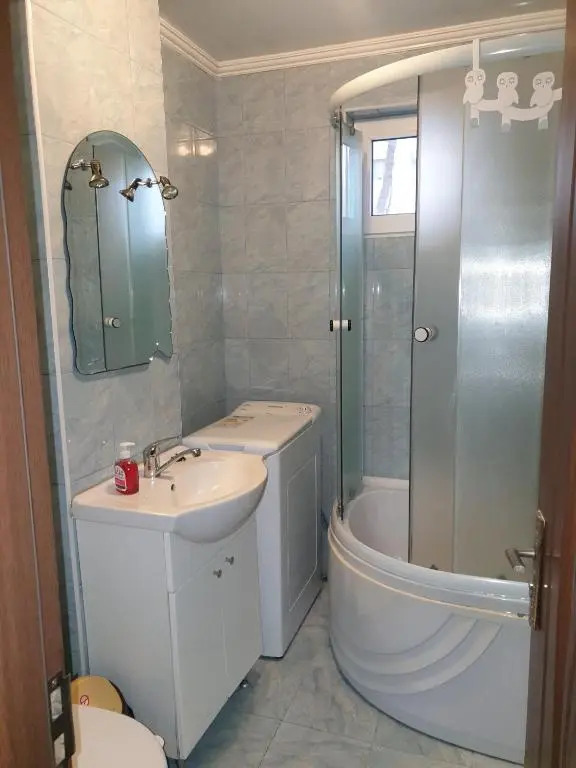 Alin Apartament