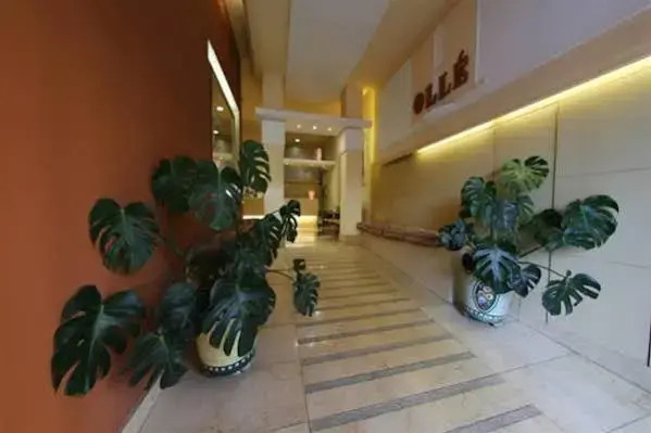 Hotel Ollé