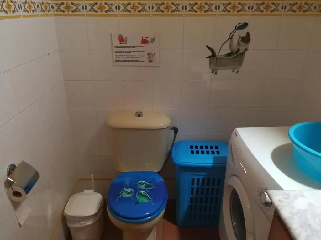 El Oasis Canario