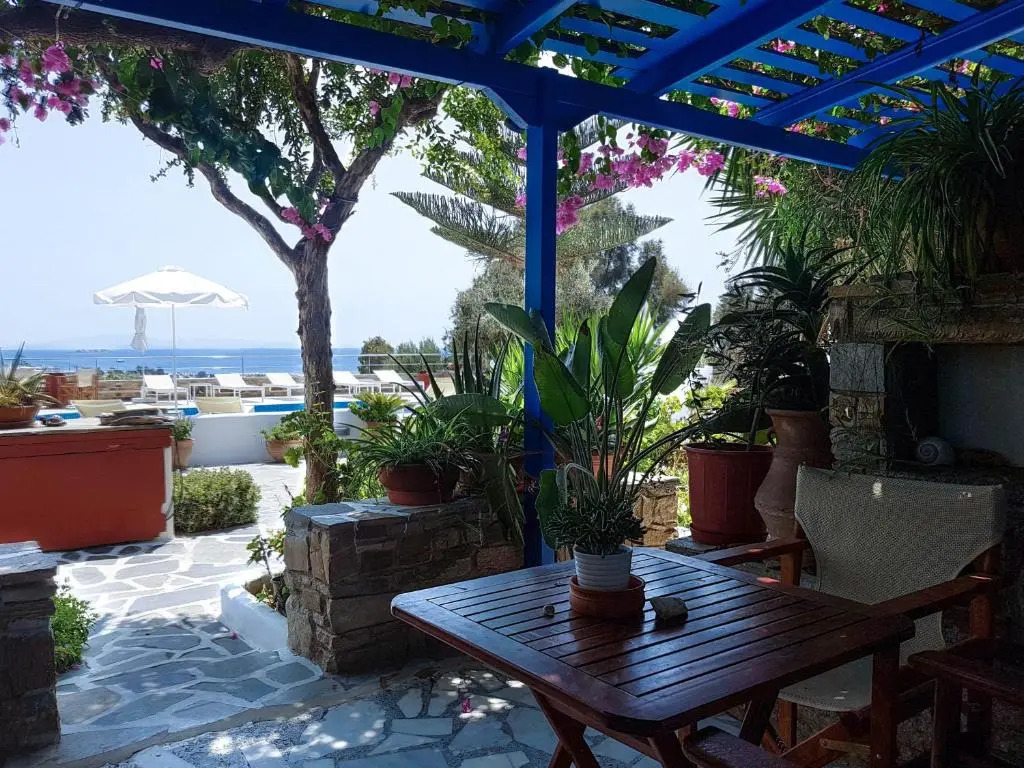 Dina Naxos Studios
