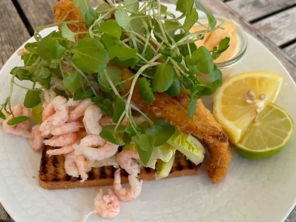 5 Star Holiday Home in Skagen