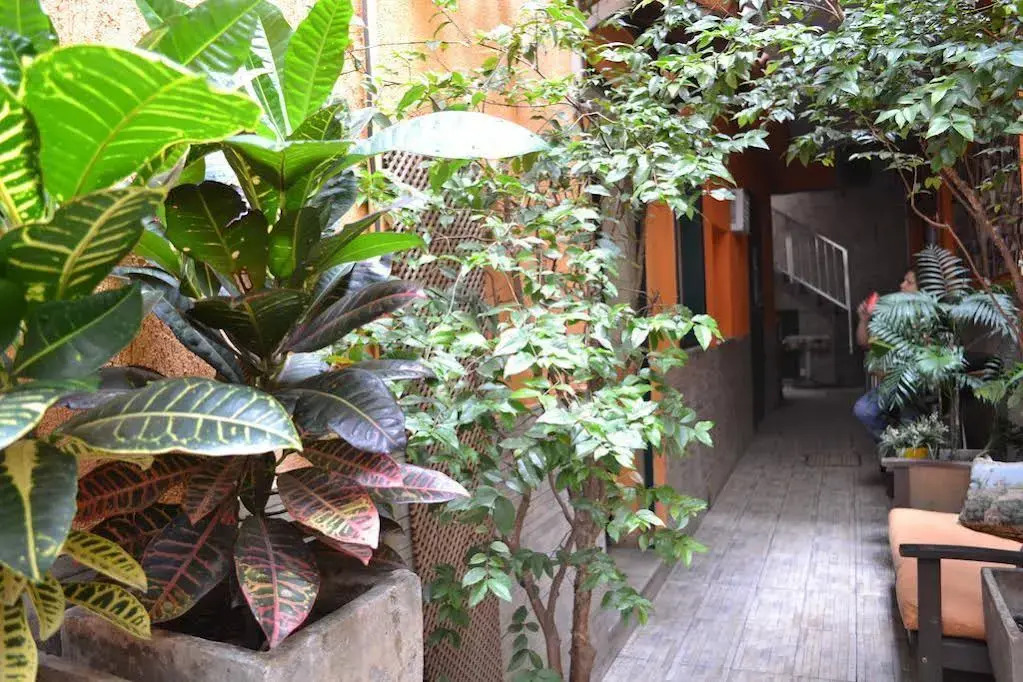 Alpha Hostel