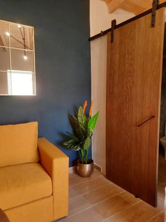 Katoi Suite