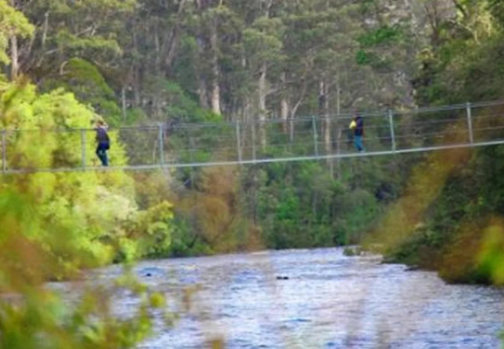 Tahune Lodge