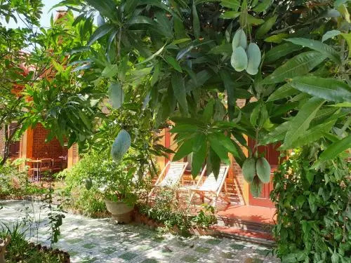 Tam Coc Vinh Thinh Homestay