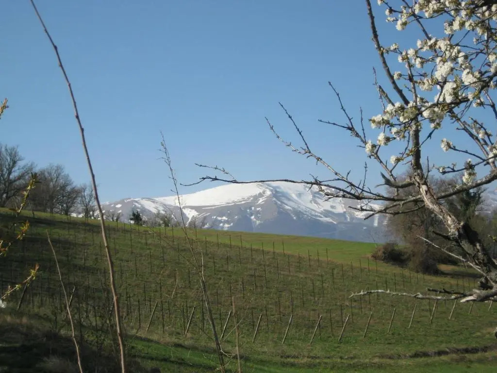 Agriturismo SPA Serpanera