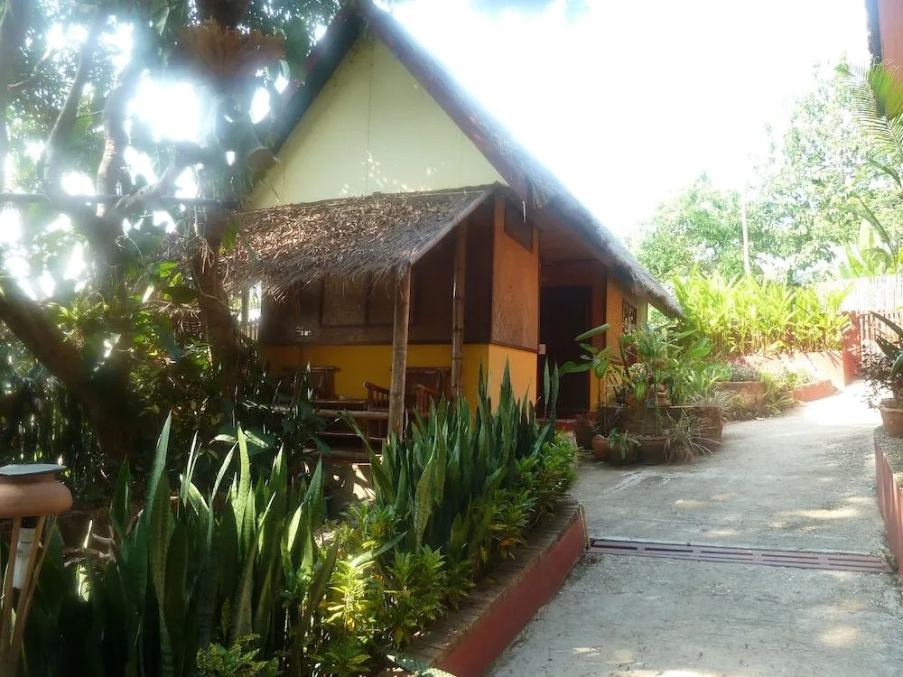 Old Trees House